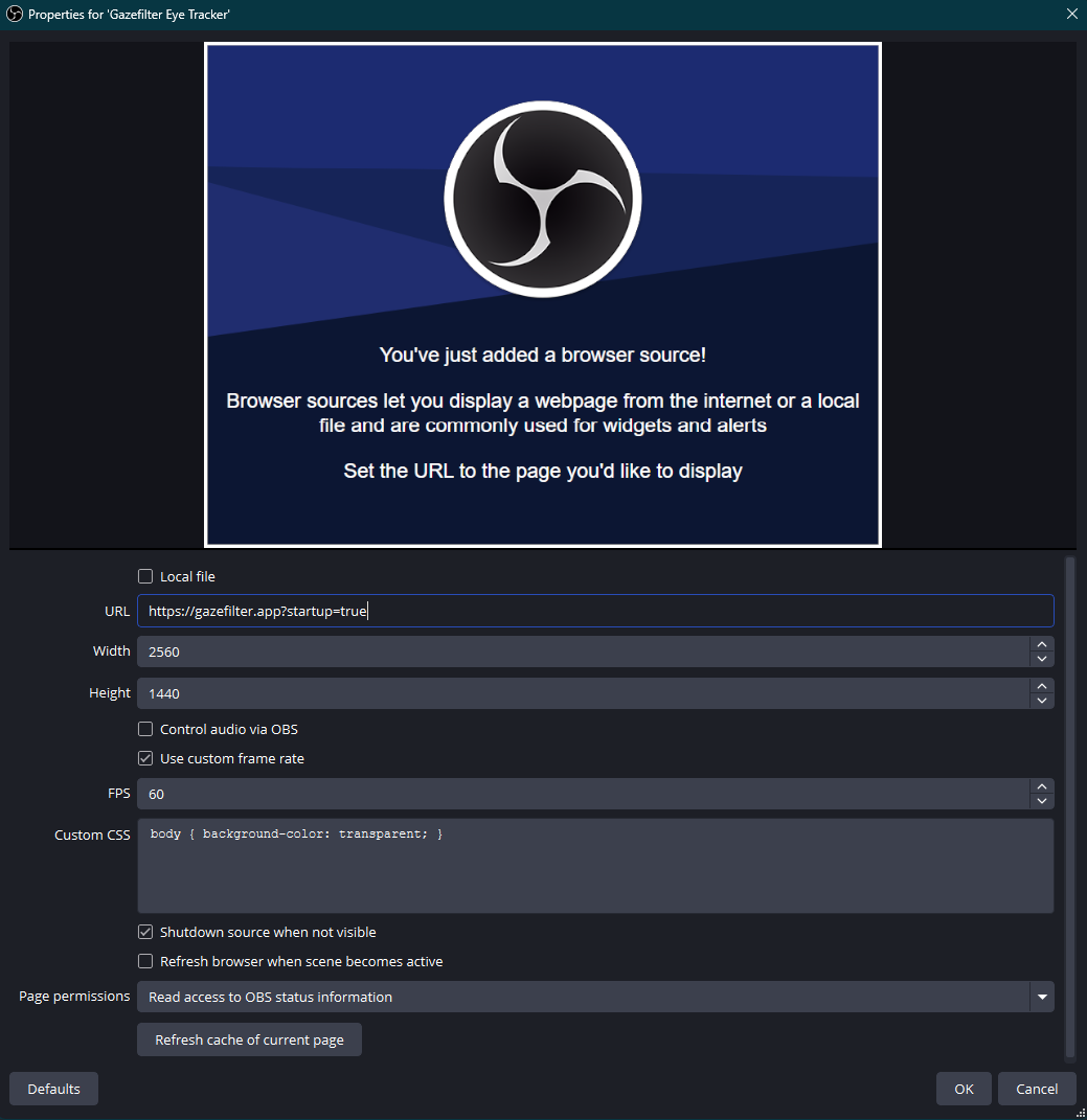 OBS Browser Source Parameters